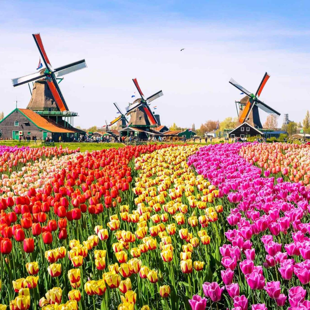 https://jackie.webtrixsol.com/wp-content/uploads/2018/09/destination-netherlands-01-1280x1280.jpg