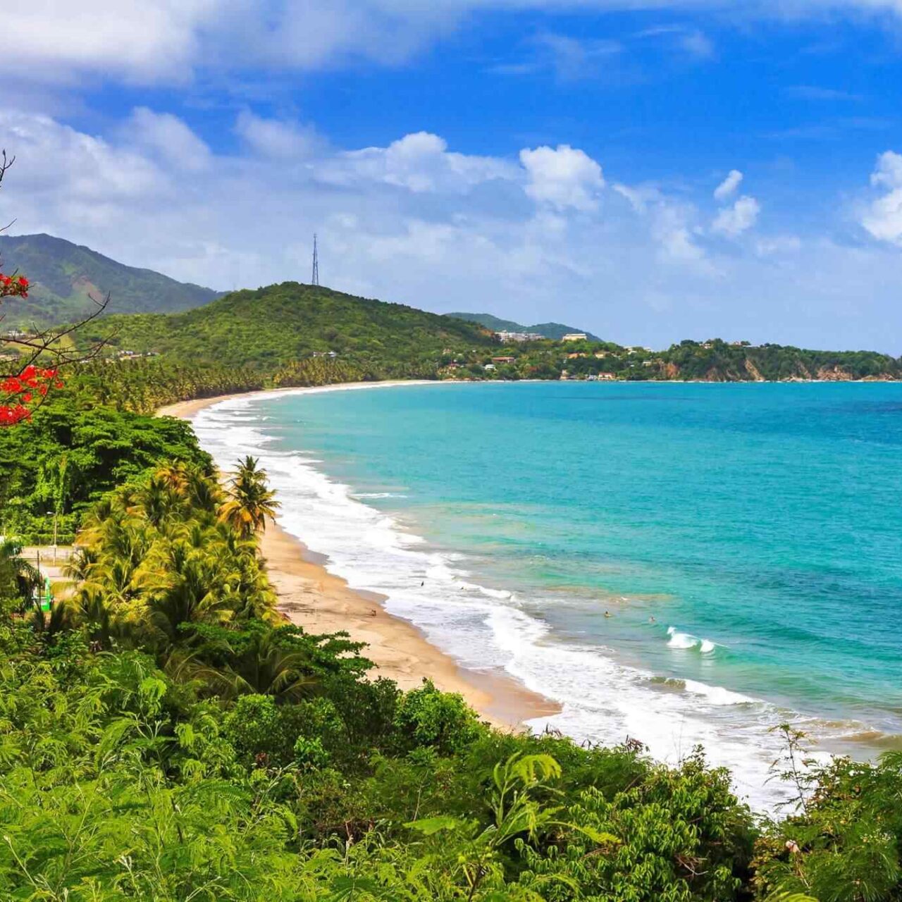 https://jackie.webtrixsol.com/wp-content/uploads/2018/09/destination-puerto-rico-01-1280x1280.jpg
