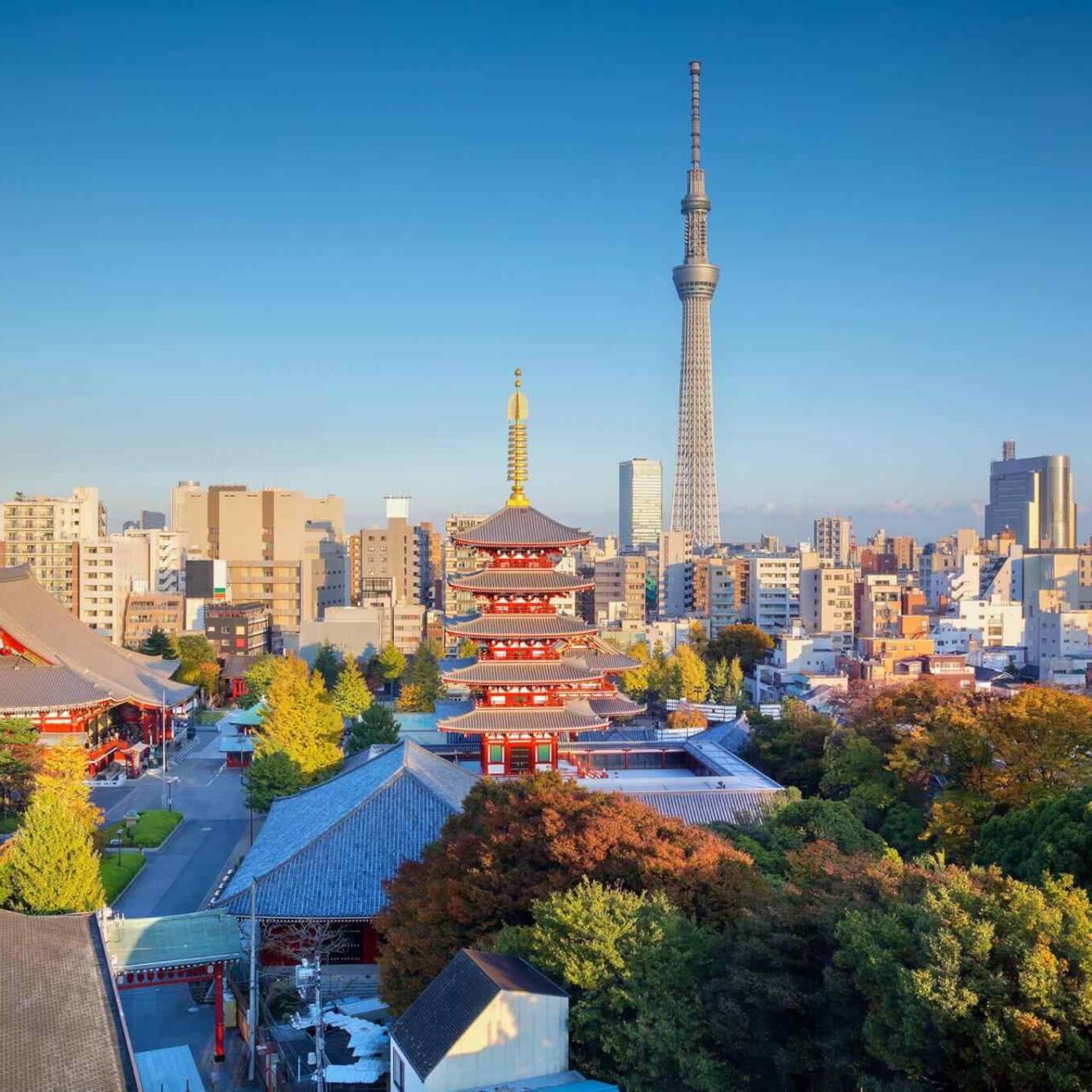 https://jackie.webtrixsol.com/wp-content/uploads/2018/09/destination-tokyo-04-1280x1280.jpg