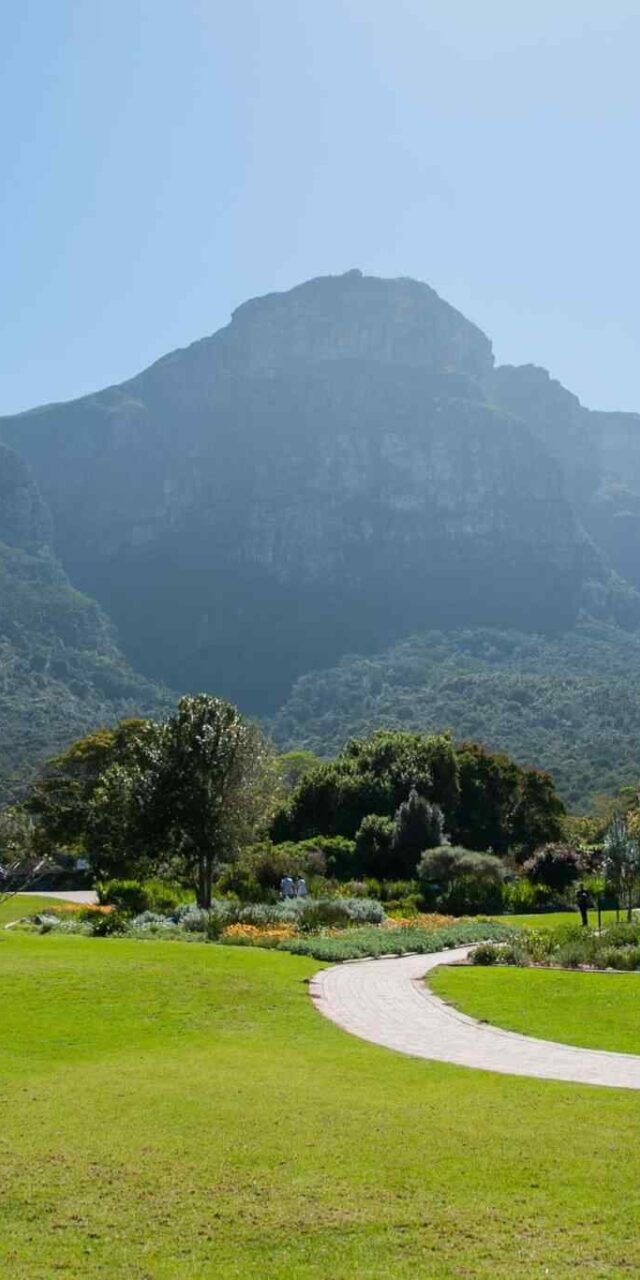 https://jackie.webtrixsol.com/wp-content/uploads/2018/09/tour-capetown-03-640x1280.jpg