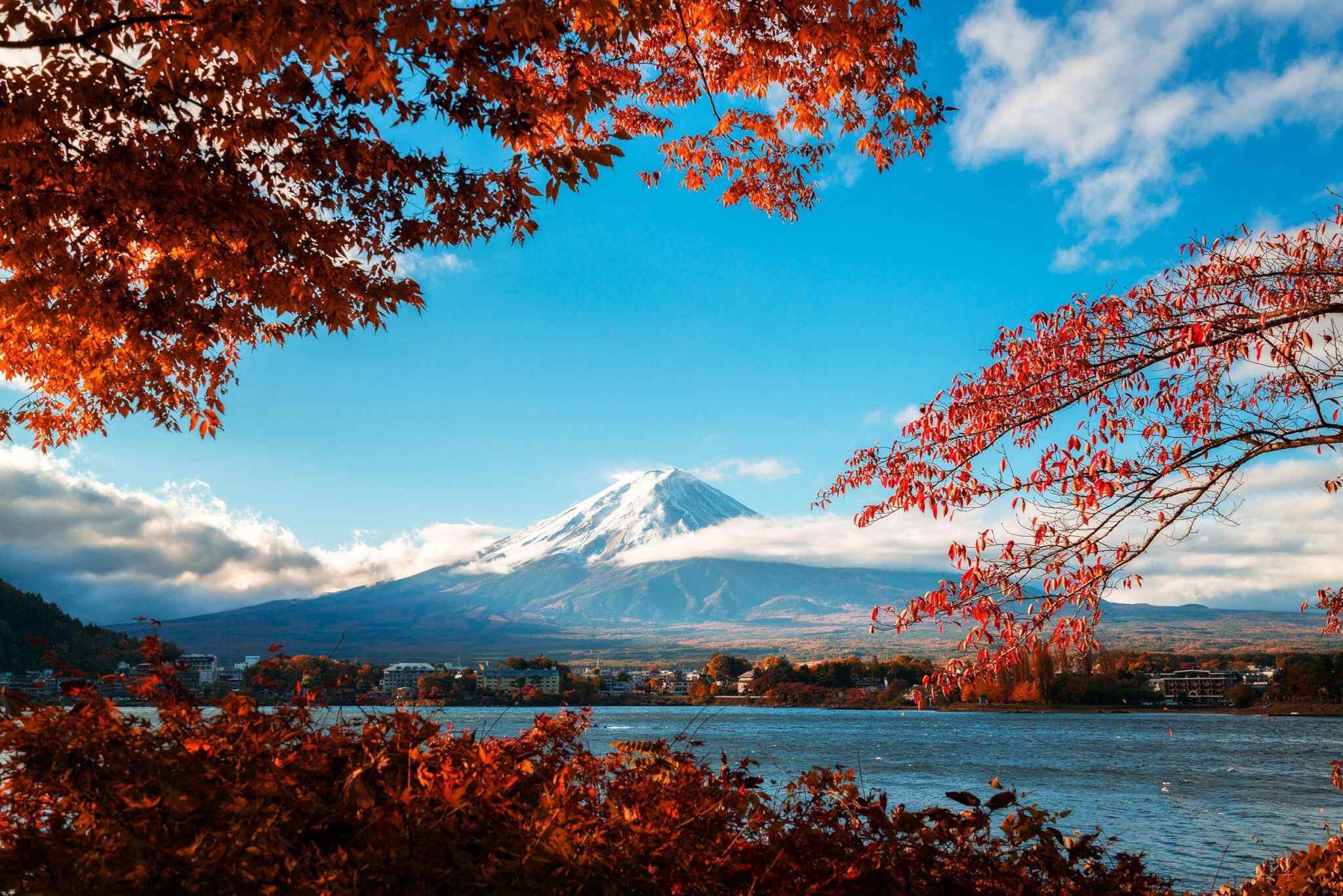 https://jackie.webtrixsol.com/wp-content/uploads/2018/09/tour-fuji-04.jpg